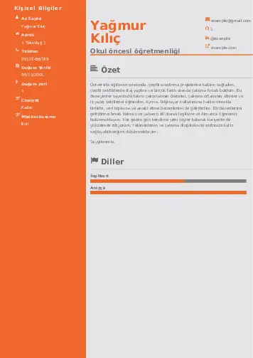 Okul Öncesi Öğretmeni Öğretmenliği Cv Örnekleri cv indir
